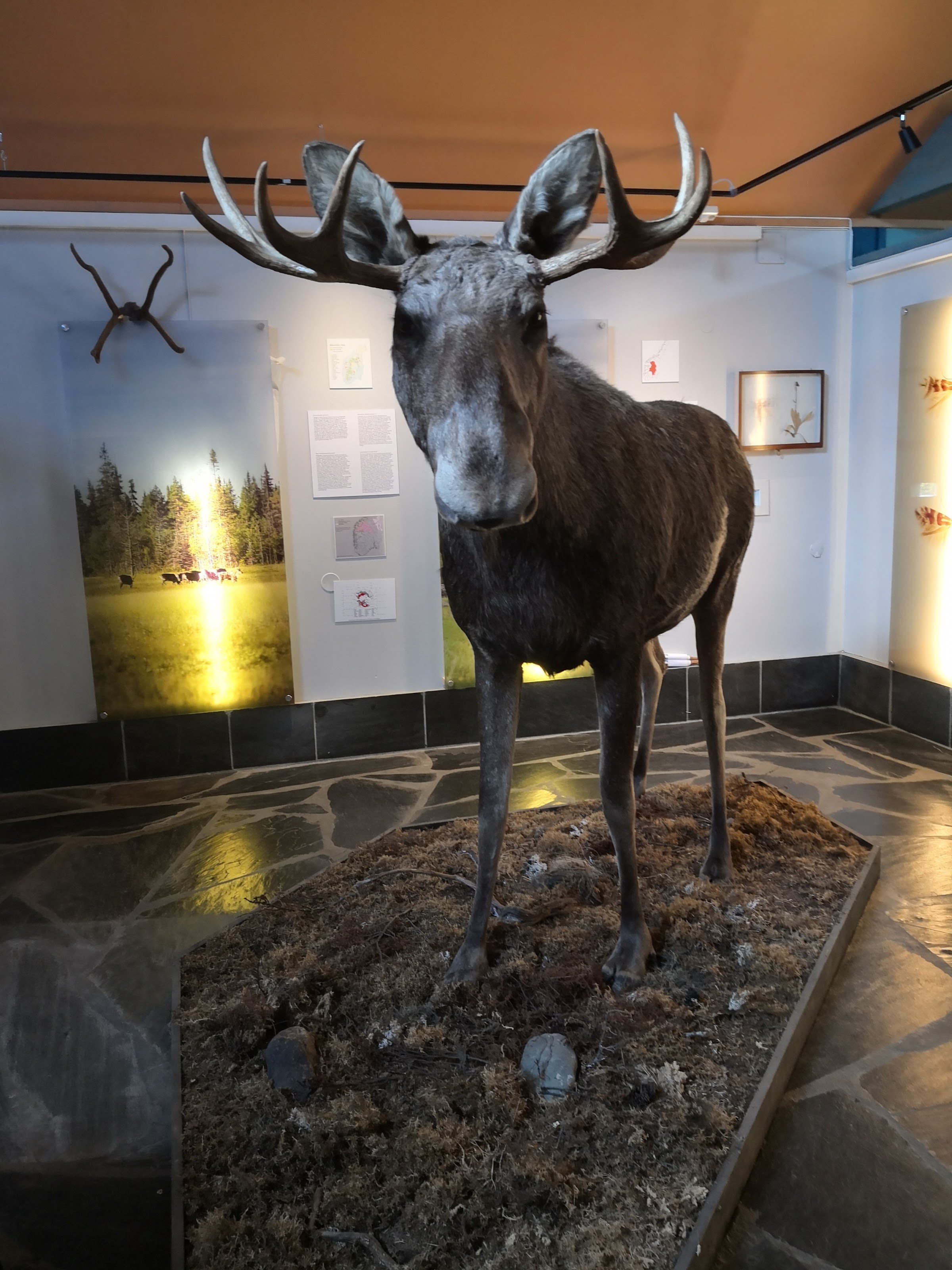 Kittilbu Utmark Museum